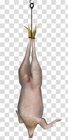 Image - Chicken dead csgo.png | Counter-Strike Wiki | FANDOM powered ...