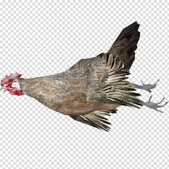 Image - Dead Chicken (Tyranachu).png | ZT2 Download Library Wiki ...