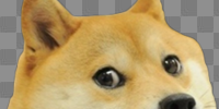 Image - Doge-head.png | MUGEN Database | FANDOM powered by Wikia