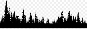 Image file formats Display resolution - Forest PNG Image 