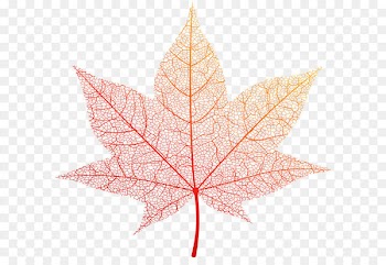 Image file formats Lossless compression - Transparent Orange Autumn Leaf PNG Clip Art Image 