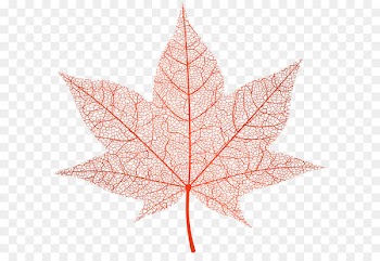 Image file formats Lossless compression - Transparent Red Autumn Leaf PNG Clip Art Image 