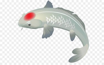 Image file formats Lossless compression - White Koi Fish PNG Clip Art Image 