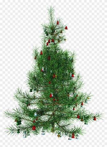 Image - Free Christmas Tree Transparent