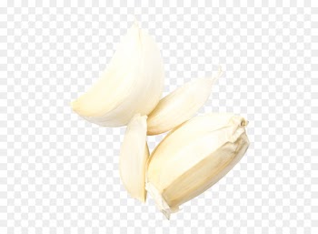 Image Garlic Photography Graphics Vegetable - garlic 