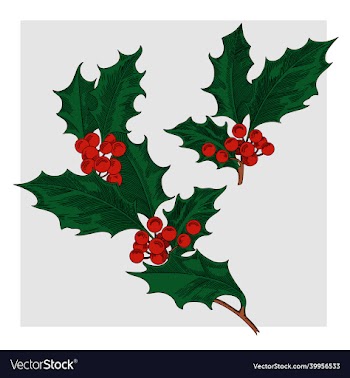 image of a christmas holly