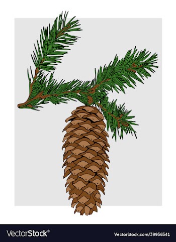 image of a christmas tree cone