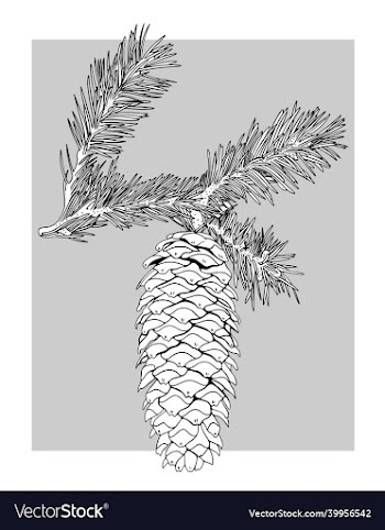 image of a christmas tree cone