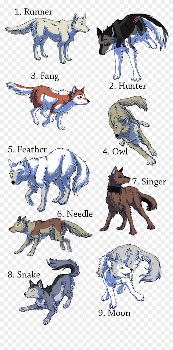 Image Of Wolfpack Clip Art Medium Size - Wolf Pack Of 9