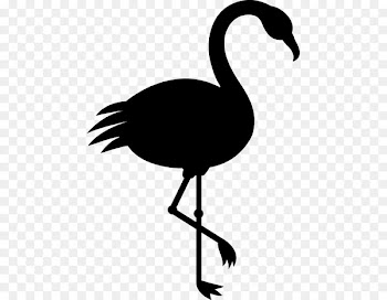 Image Photograph Illustration Portable Network Graphics Flamingo -  