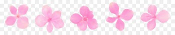 Image Photography Video Instagram - flamant rose sticker 