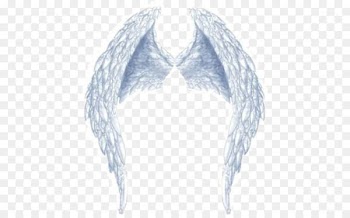 Image PicsArt Photo Studio Wing GIF Portable Network Graphics - angel wings and halo 