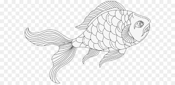 Image Portable Network Graphics Design Download Fish - novi sad 
