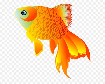Image Portable Network Graphics Goldfish Drawing animation - goldfish vector 