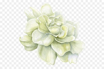 Image Portable Network Graphics Painting Illustration Flower - gardena flower 