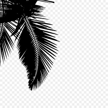 Image Portable Network Graphics Photography Clip art -  
