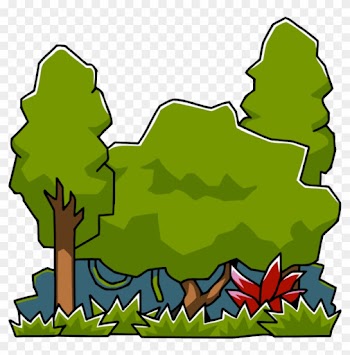Image - Rainforest Png Clipart