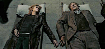 Image - Remus Lupin & Nymphadora Tonks Deceased.png | Harry Potter ...