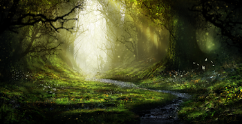 Image result for forest magically coming to life | Fantasy Art ...