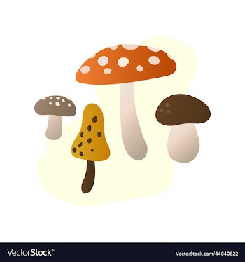 image set of various forest mushrooms the