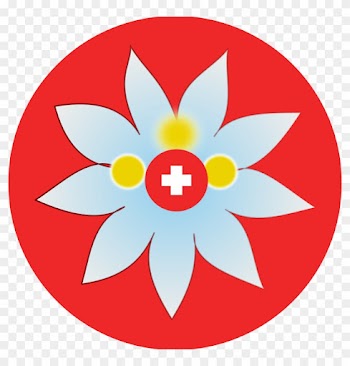 Images For Edelweiss Flower Clip Art - Food And Drug Administration