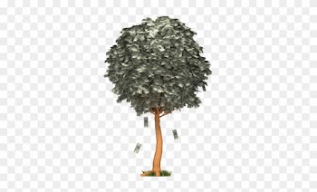 Images - Money Falling From Tree Gif