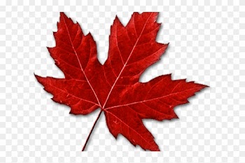 Images Of Maple Leaf - Canadian Maple Leaf Transparent