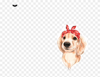 Images1 - Ella's Pup - Cute Dog White Background, HD Png Download ...