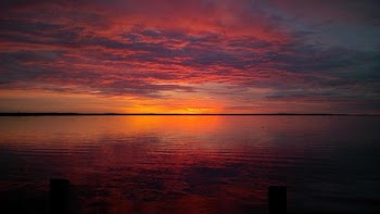 IMG_00000692.jpg