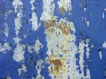 IMG-0204.jpg