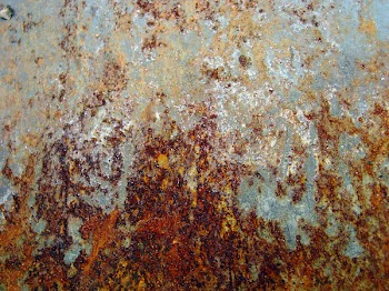 IMG-0208.jpg