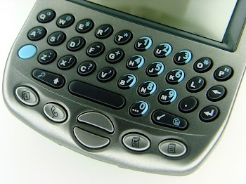 img-0263.jpg
