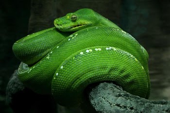 IMG_0477.JPG