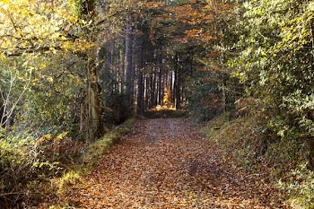 IMG_0744.JPG