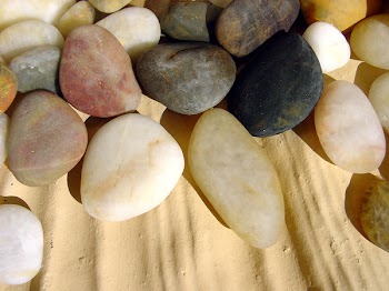 IMG-09211.jpg