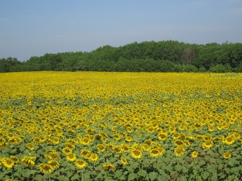 IMG_1042.JPG