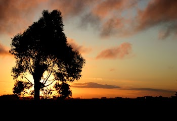 IMG_1160_copia.jpg