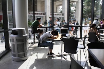 IMG_14532.JPG