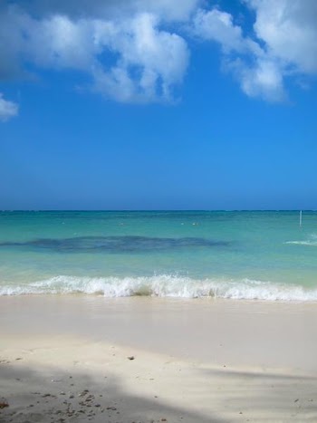 IMG_1503.jpg