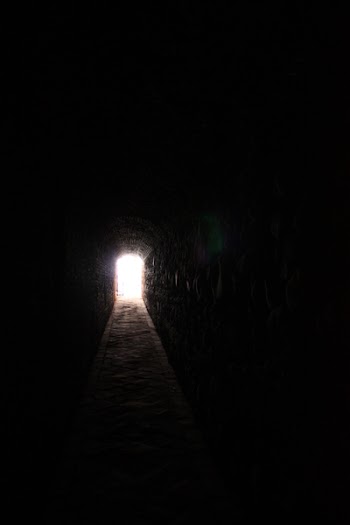 IMG_1511a.jpg