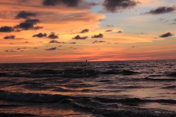 IMG_1514.JPG