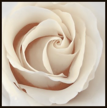 Img_1777_Render_sepia.jpg