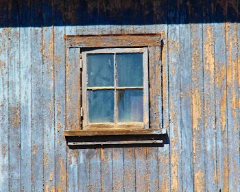 IMG_1780a.jpg