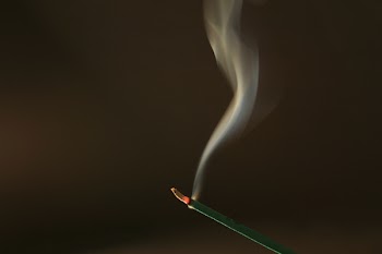 IMG_2547_edit.jpg