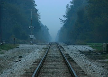 IMG_2601_v.jpg