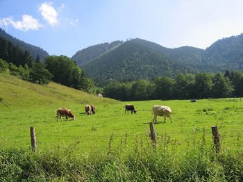 IMG_29961.JPG