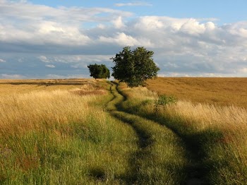 img_346.jpg