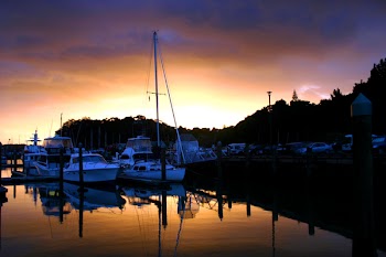 IMG_3695_e.jpg