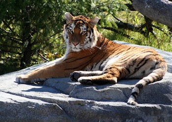 IMG_3720a.jpg