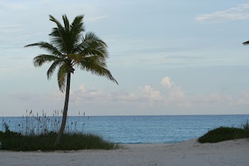 IMG_4146_j.JPG